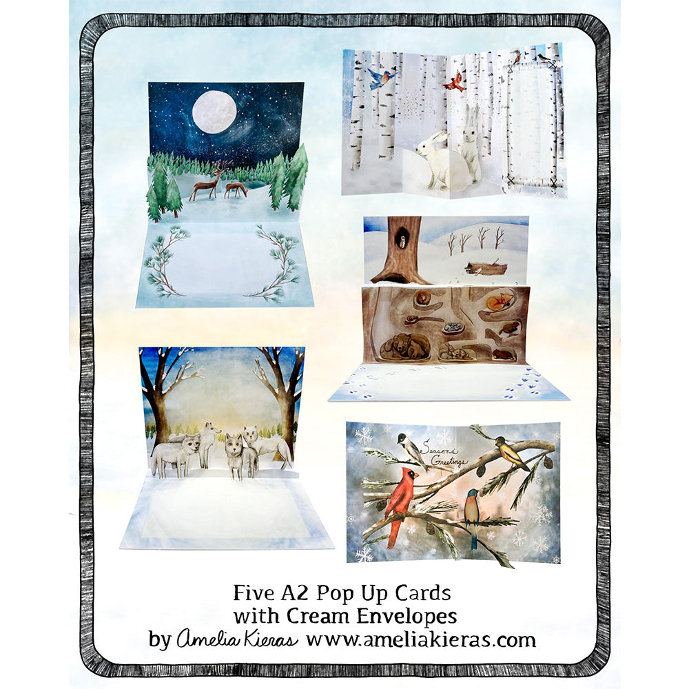 Winter Nature Pop Up Card Box Set - Set of Five Assorted Pop Up Cards