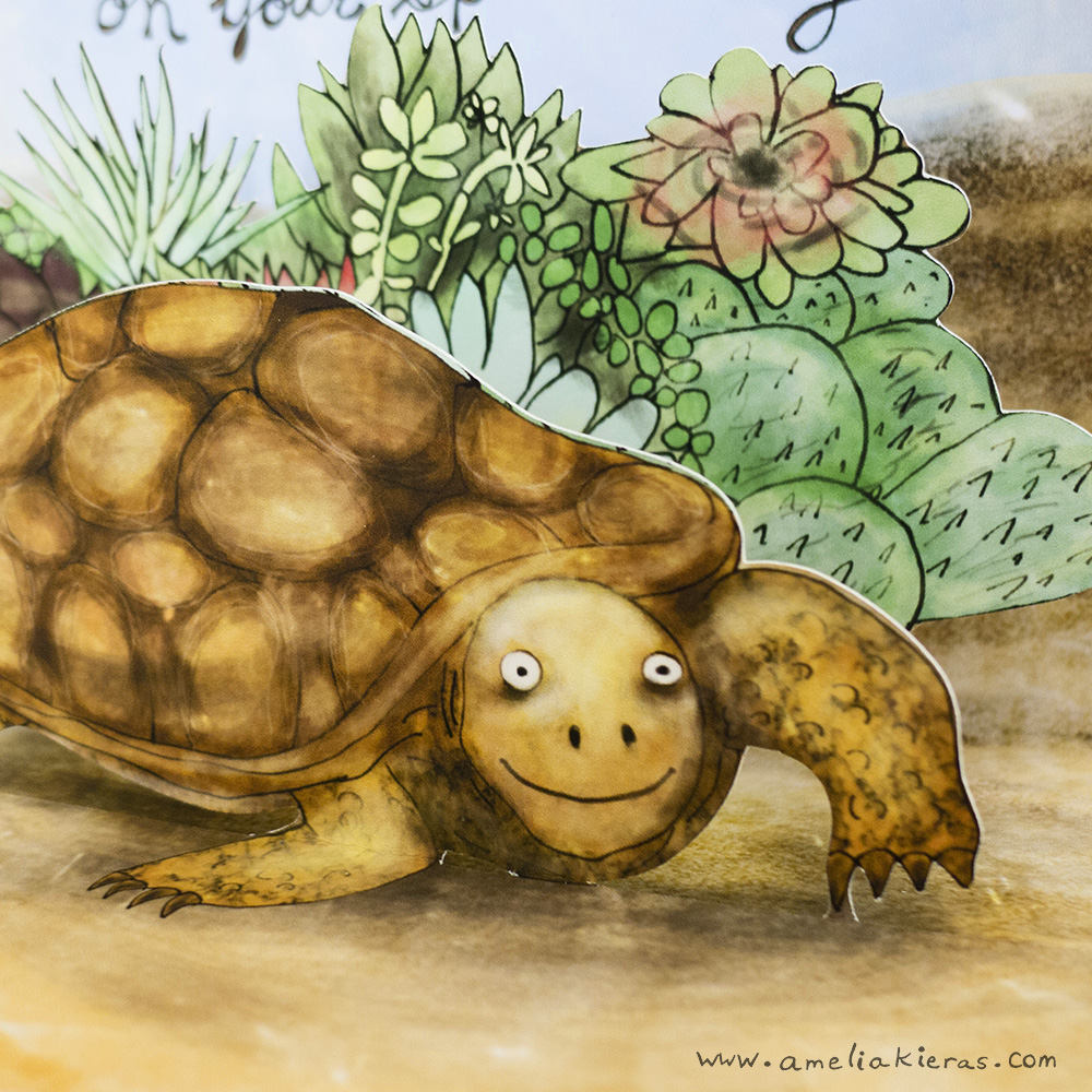 Desert Tortoise Congratulations 3D Pop Up Card