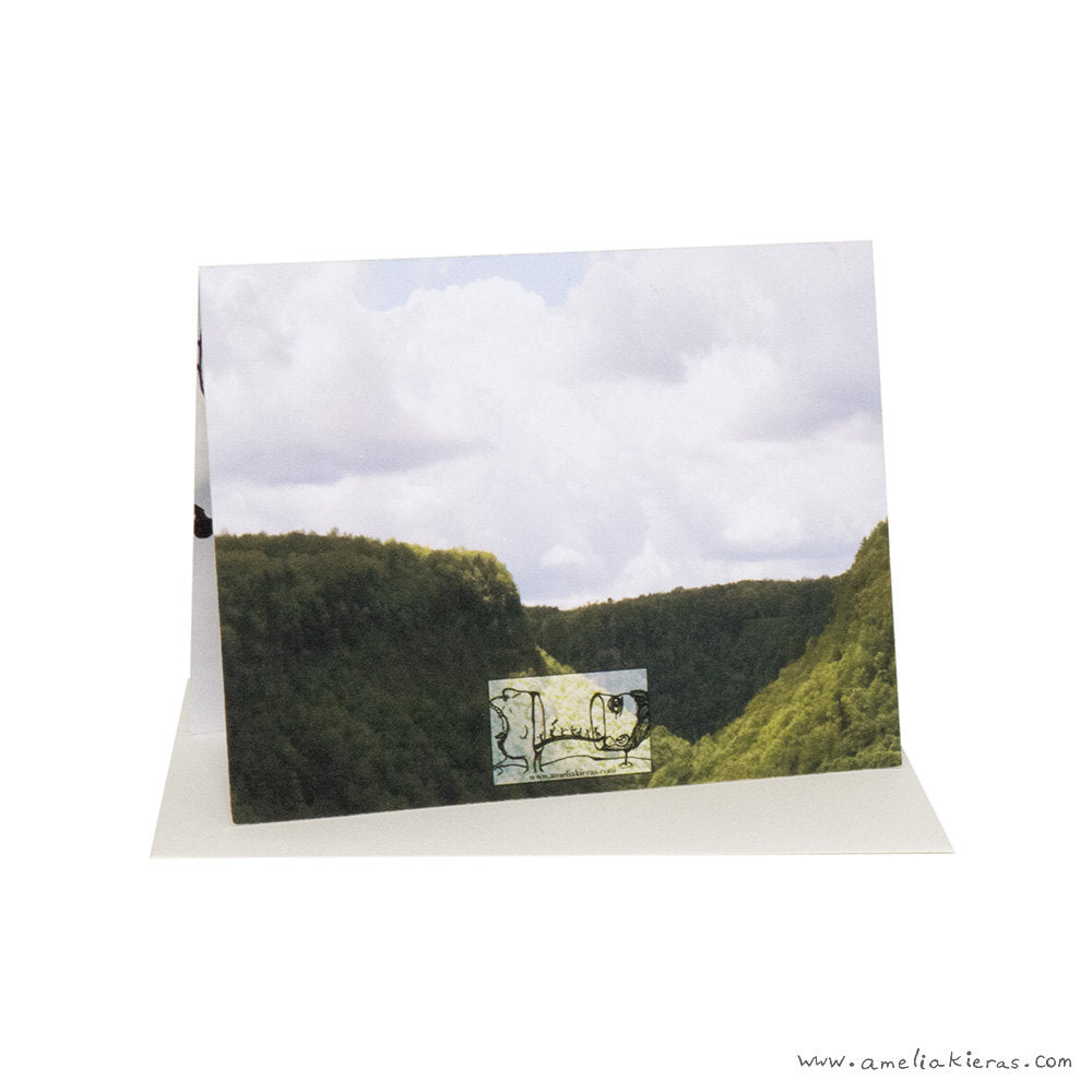 The Polar Bear of Love 3D Pop Up Card