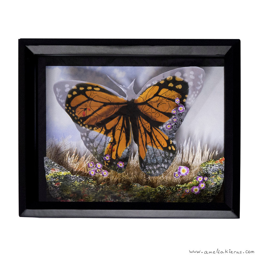 Butterfly Blood Shadow Box - Limited Edition Cut Paper Wall Art