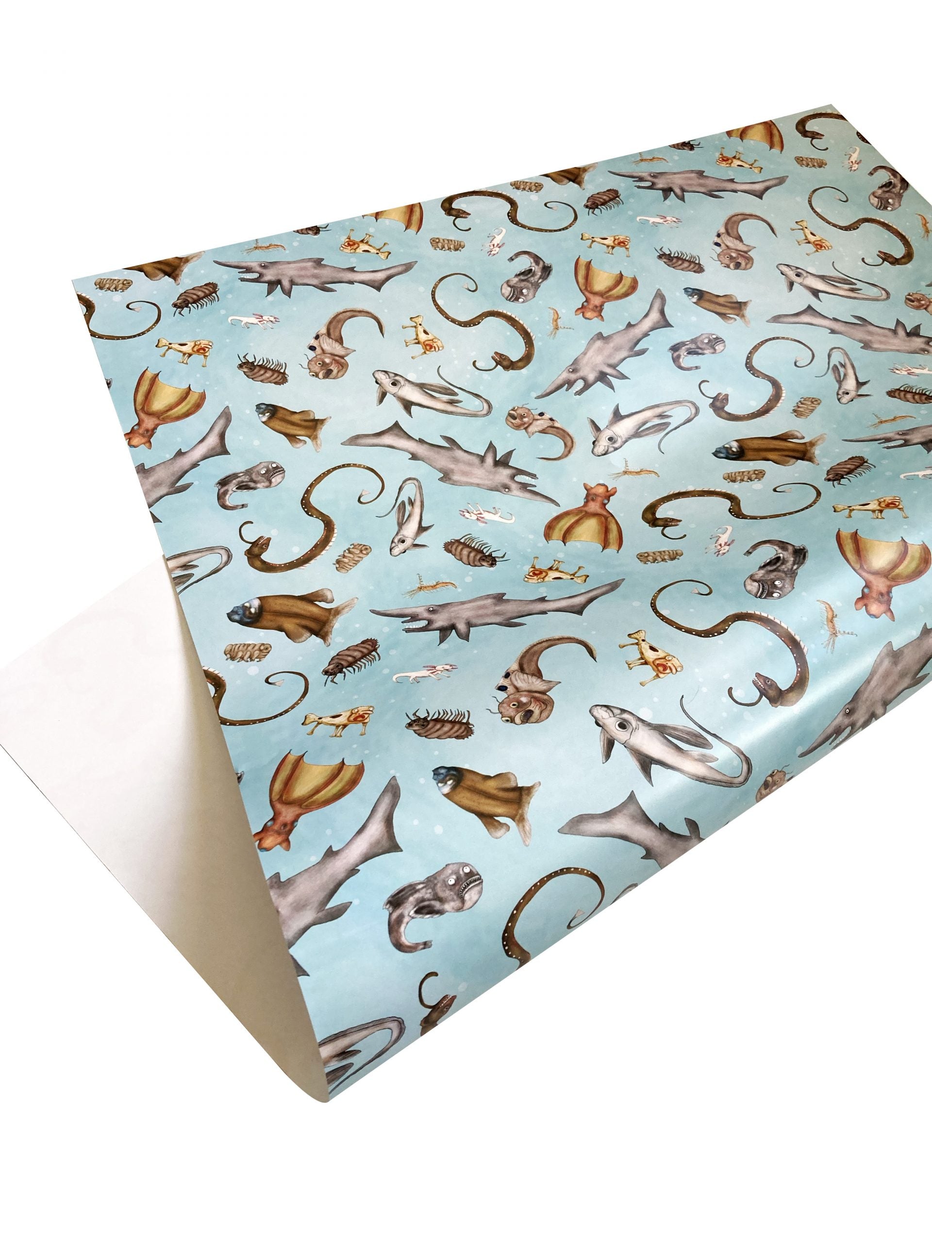 Weird Sea Creatures Wrapping Paper - Set of Three Sheets – Amelia Kieras