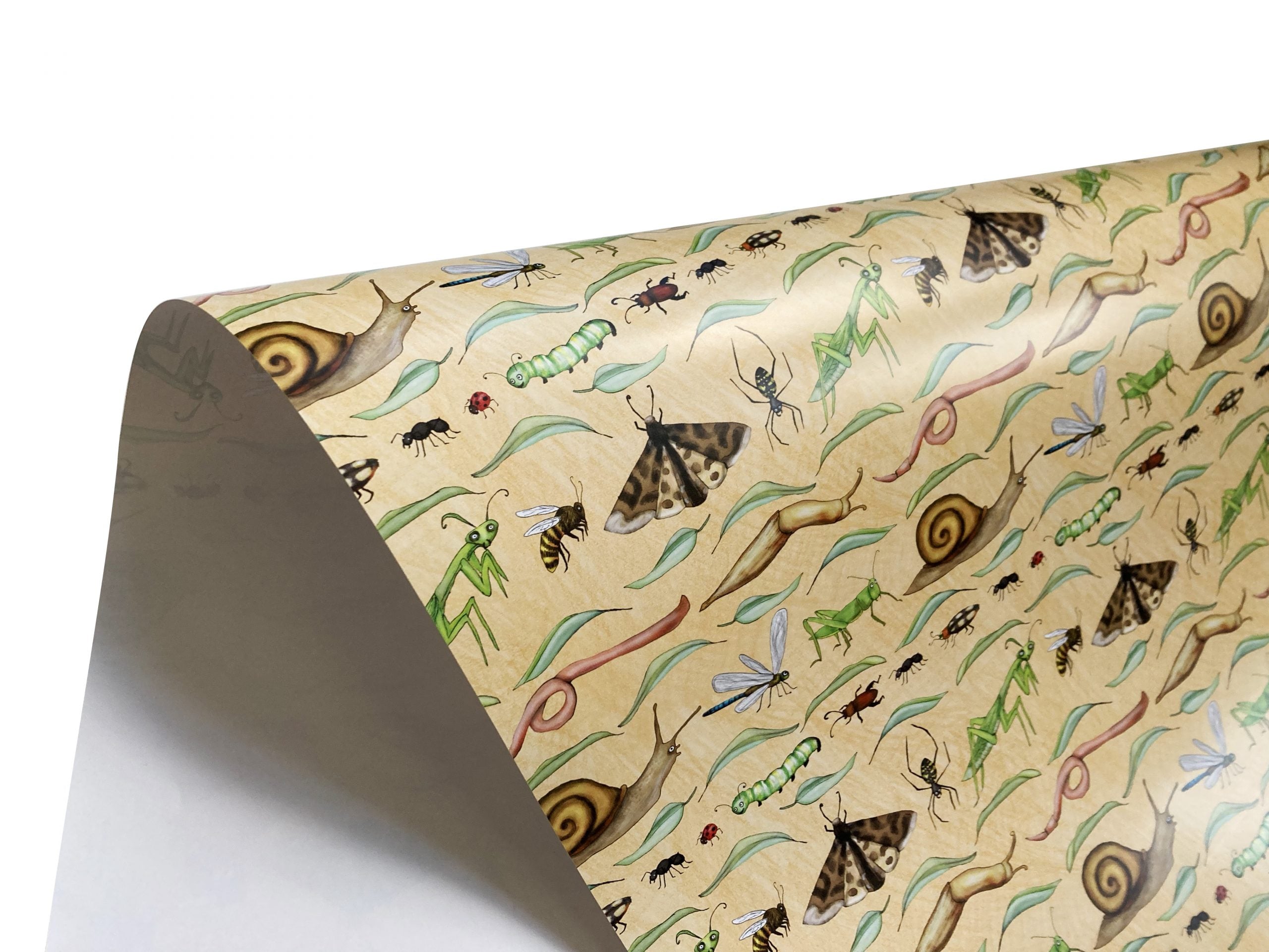 Bug Parade Wrapping Paper - Set of Three Sheets – Amelia Kieras Art LLC
