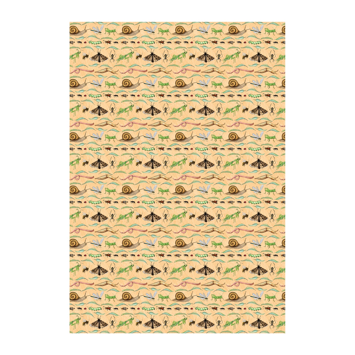 Bug Parade Wrapping Paper - Set of Three Sheets