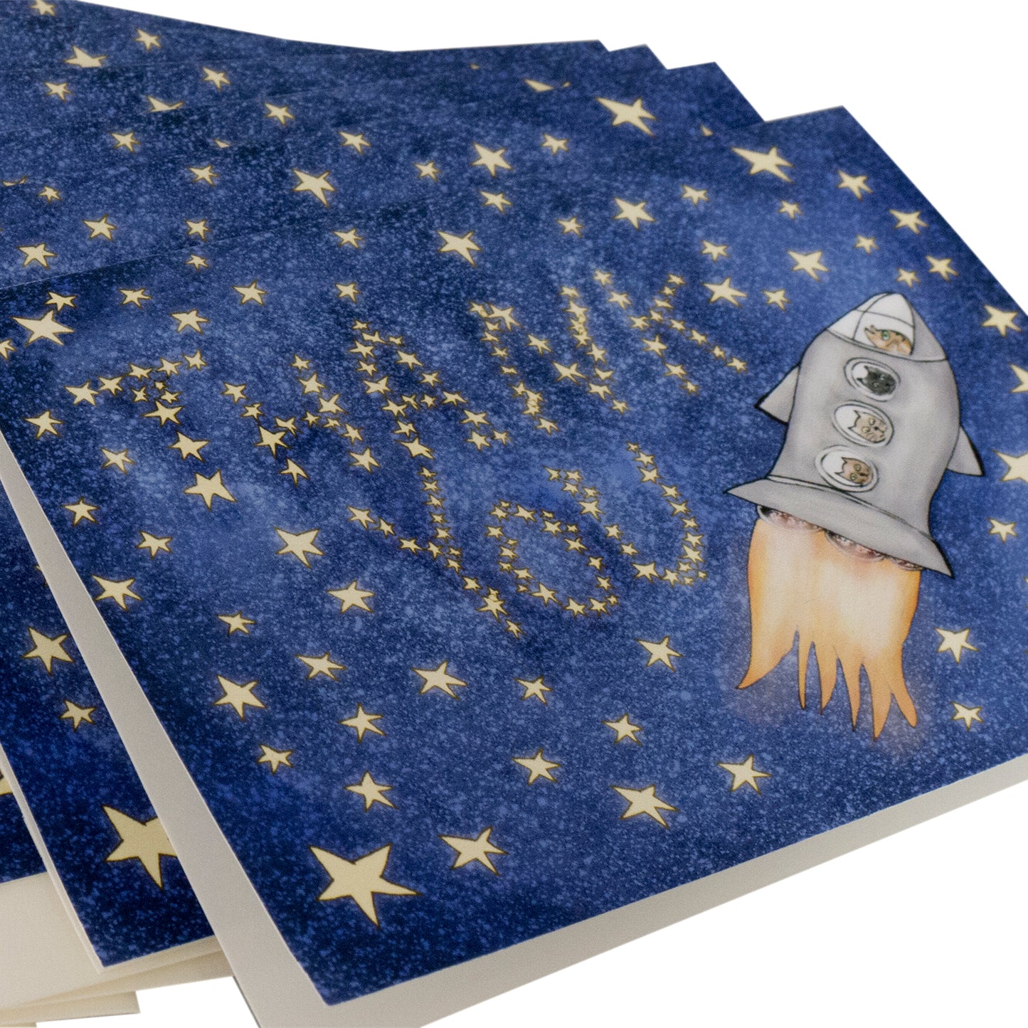 Space Cats Thank You Card Set