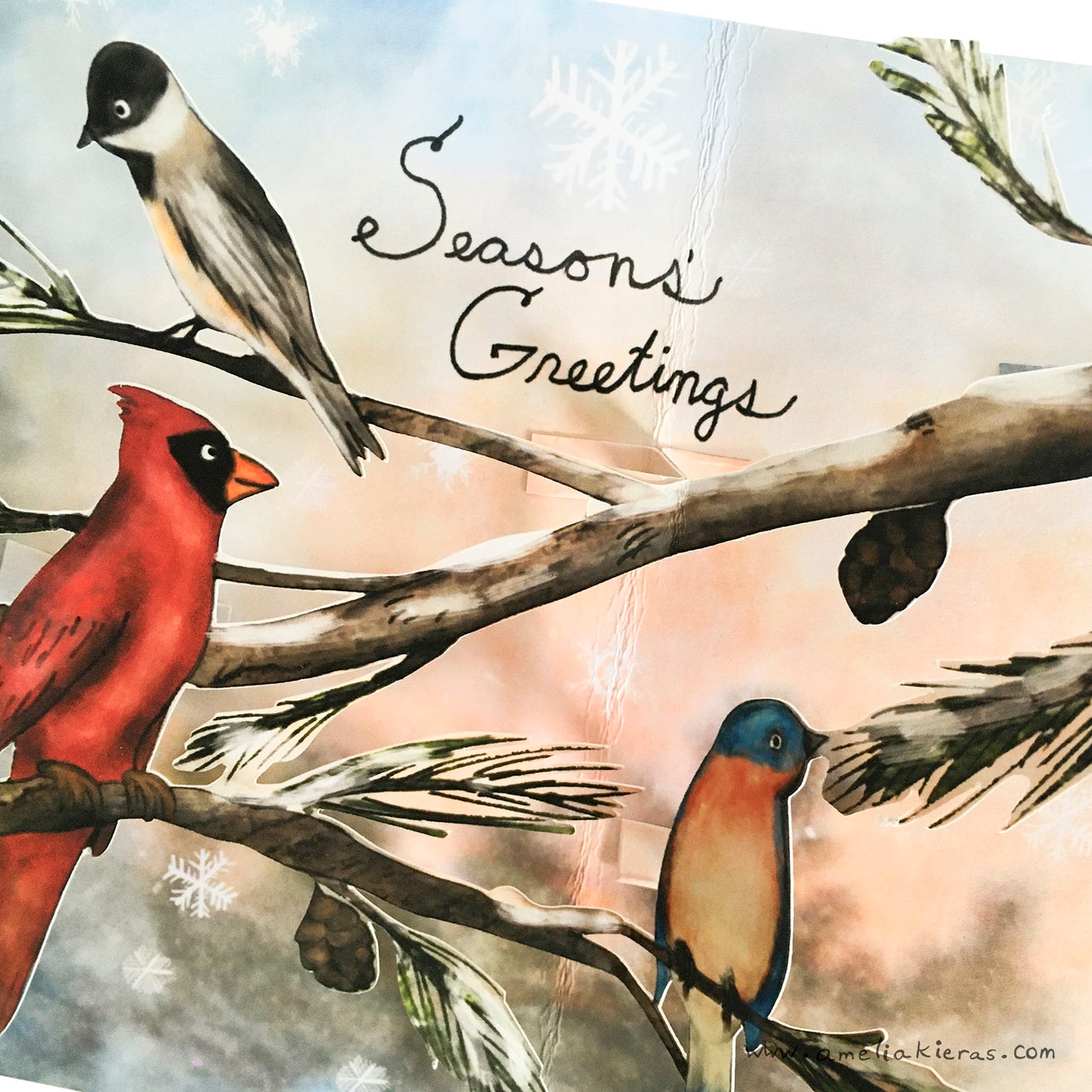 Winter Birds Seasons Greetings 3D Pop Up Card